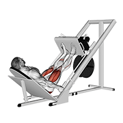 45 Degree Leg Press