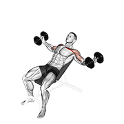 Incline Dumbbell Twist Fly