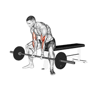 Close Grip Seated Barbell Curl