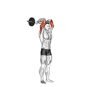 Standing EZ Bar Triceps Extension