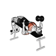Hammer Grip Decline Press