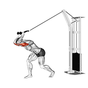 High Cable Triceps Extension