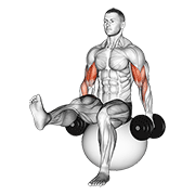 Stability Ball Dumbbell Curl