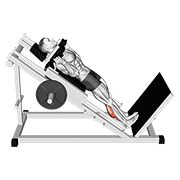 Hack Squat Calf Machine