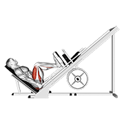 Leg Press