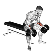 Seated Dumbbell Wrist Curl