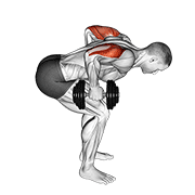 Triceps Kickback