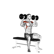 Seated Dumbbell Press