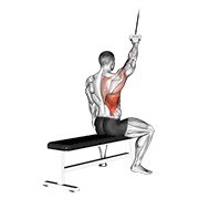 Alternating Cable Pulldown
