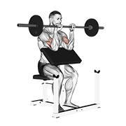 Reverse Preacher Curl