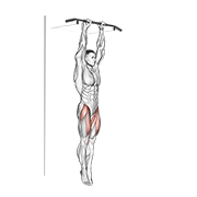 Hanging Leg Raise