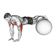 Close Grip Push-up on Stability Ball