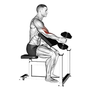 Preacher Hammer Curl