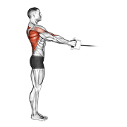 Standing Cable Row