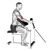 One Arm Cable Hammer Preacher Curl