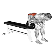Seated Triceps Kickback