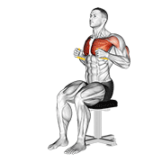 Seated Band Chest Press