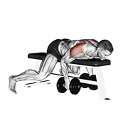 Lying Dumbbell Rear Delt Fly