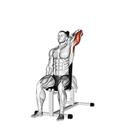 One Arm Seated Dumbbell Triceps Extension