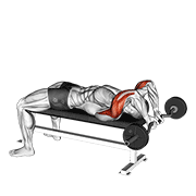 Close Grip EZ Bar Skull Crusher