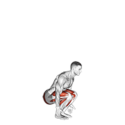 Half Jump Squat