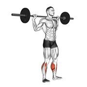 Standing Barbell Calf Raise