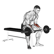 Seated Barbell Wrist Curl
