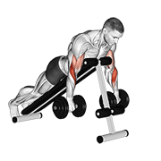 Reverse Dumbbell Spider Curl