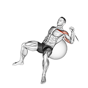 One Arm Incline Cable Press