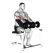 Dumbbell Preacher Curl