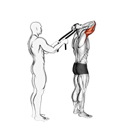 Towel Triceps Extension