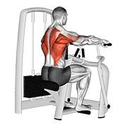 Seated Row Machine