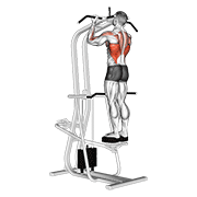 Standing Assisted Pull-up