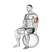 Stability Ball Triceps Stretch