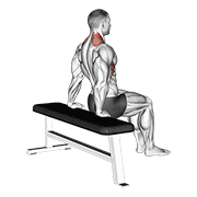 Scapular Dip