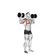Dumbbell Shoulder Press