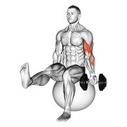 One Arm Curl on Stability Ball