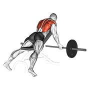 Incline Reverse Grip Row