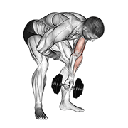 Standing Concentration Curl