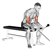 Seated Cable Curl