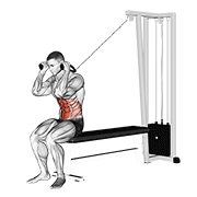 Seated Cable Crunch