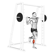Smith Machine Calf Raise