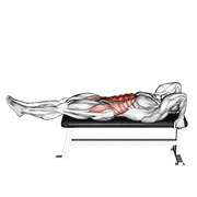 Bench Reverse Crunch