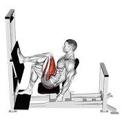 Single Leg Press