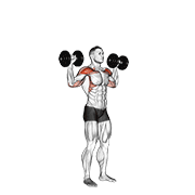 Dumbbell Military Press