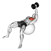 Dumbbell Fly on Stability Ball