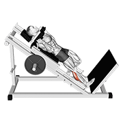 Hack Calf Machine