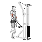 Close Grip Cable Curl