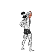 One Arm Standing Dumbbell Triceps Extension