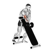 Dumbbell Spider Curl